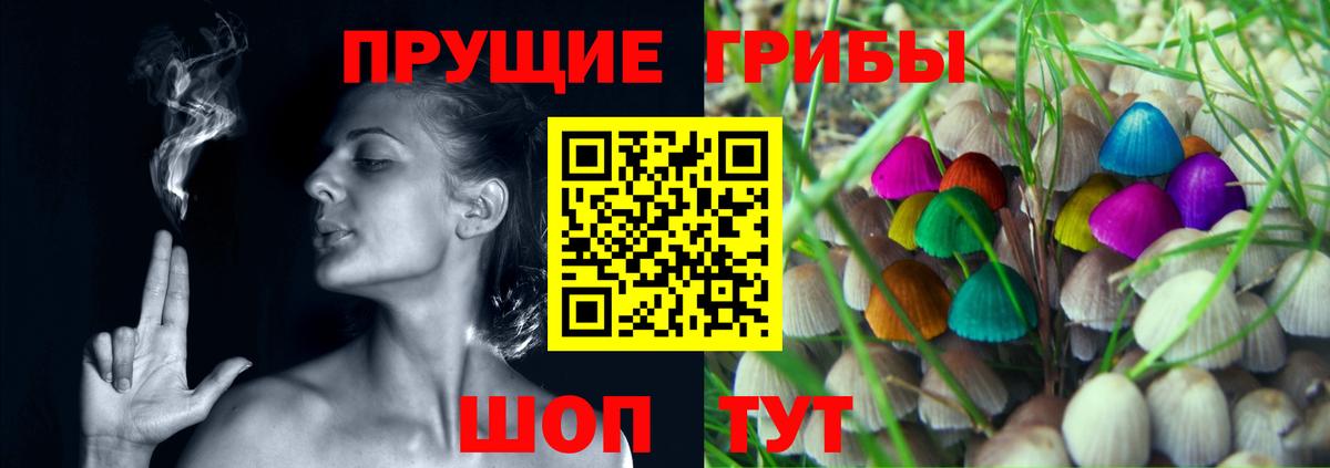 Галлюциногенные грибы мухоморы  Вход с VPN  Сальск 